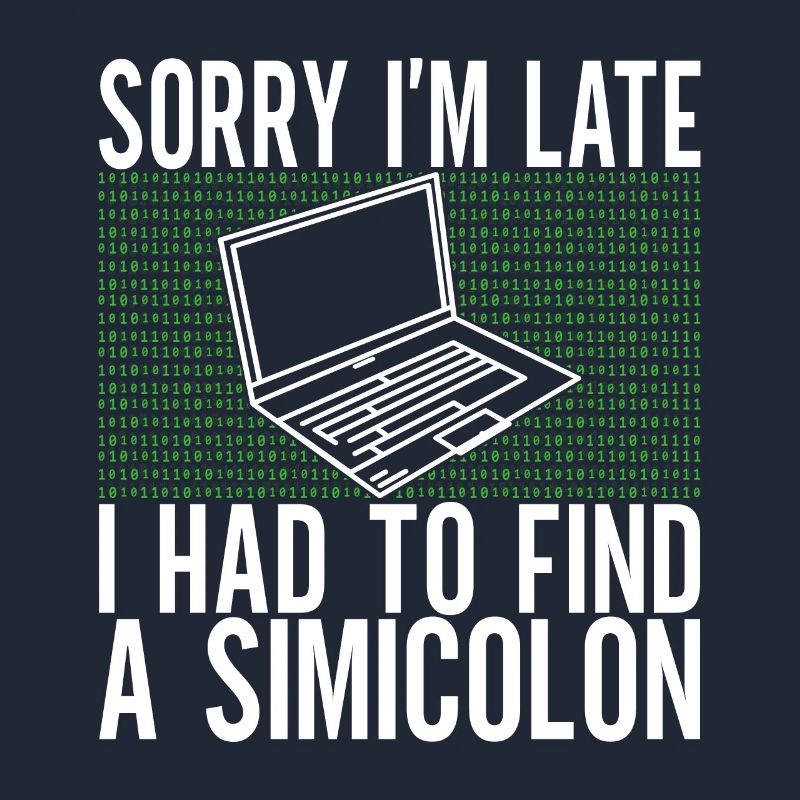 Programmierer Informatiker