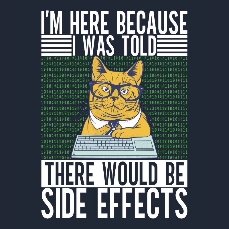 Programmer Computer Scientist