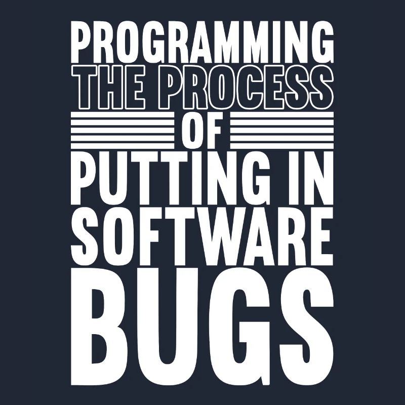 Programmeur Informaticien