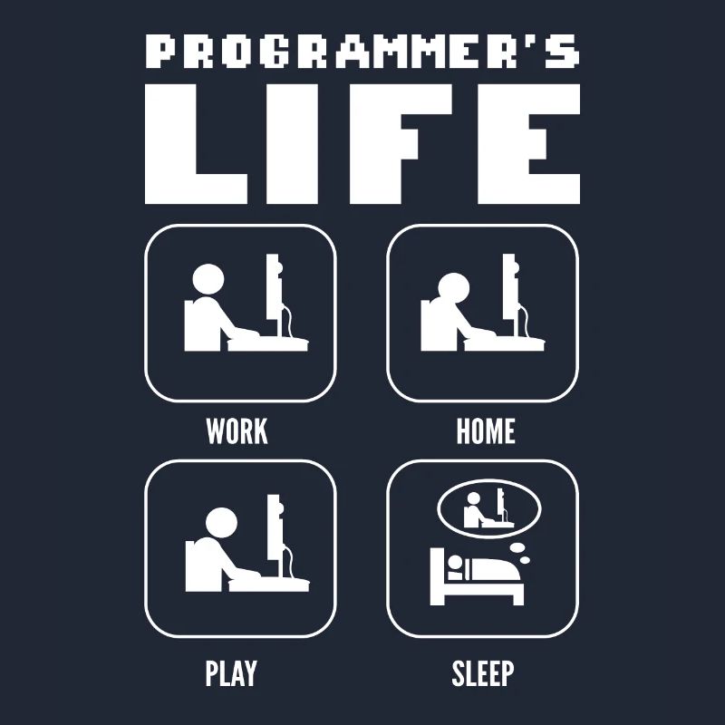 Programmers Life. Work Home Play Sleep Programming