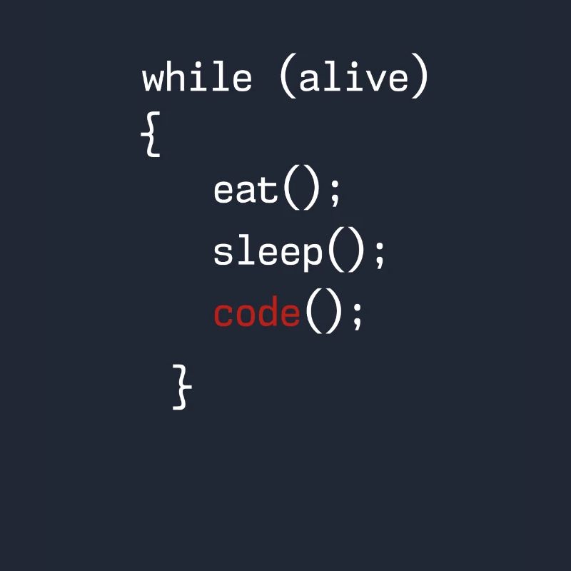 Administrator Coding Geek Programmierer