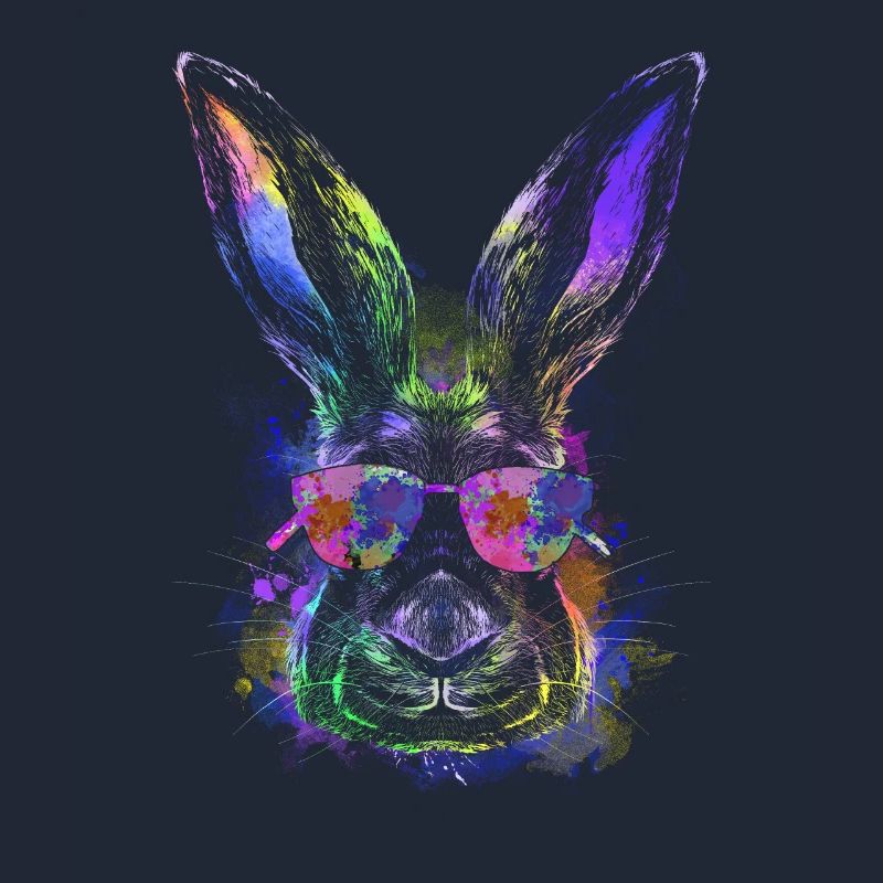 Cool Easter Bunny Happy Easter Bunny