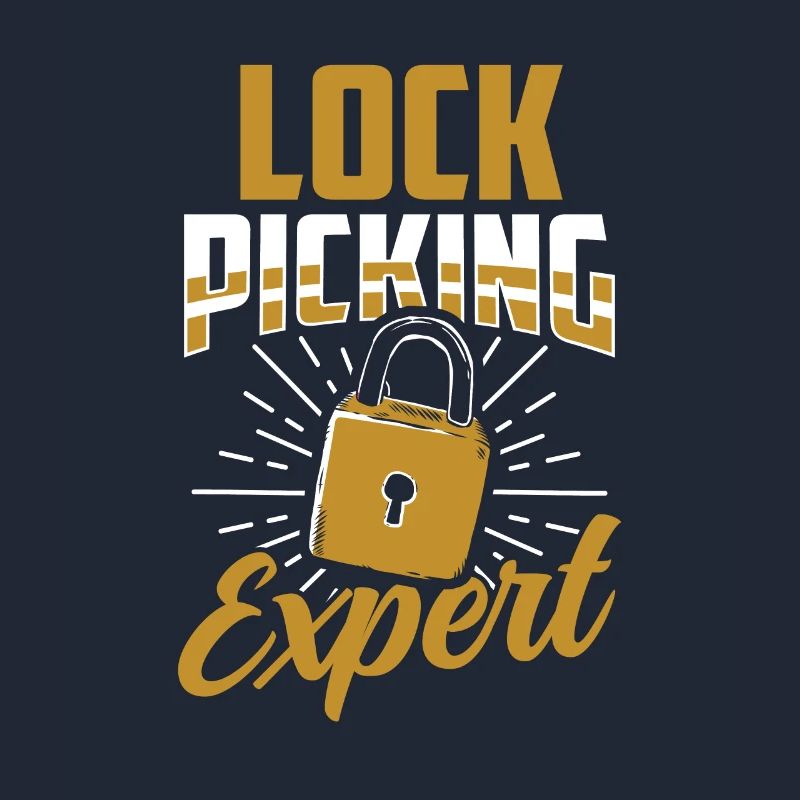Lockpicking Expert Cracking Lock Lock Picking
