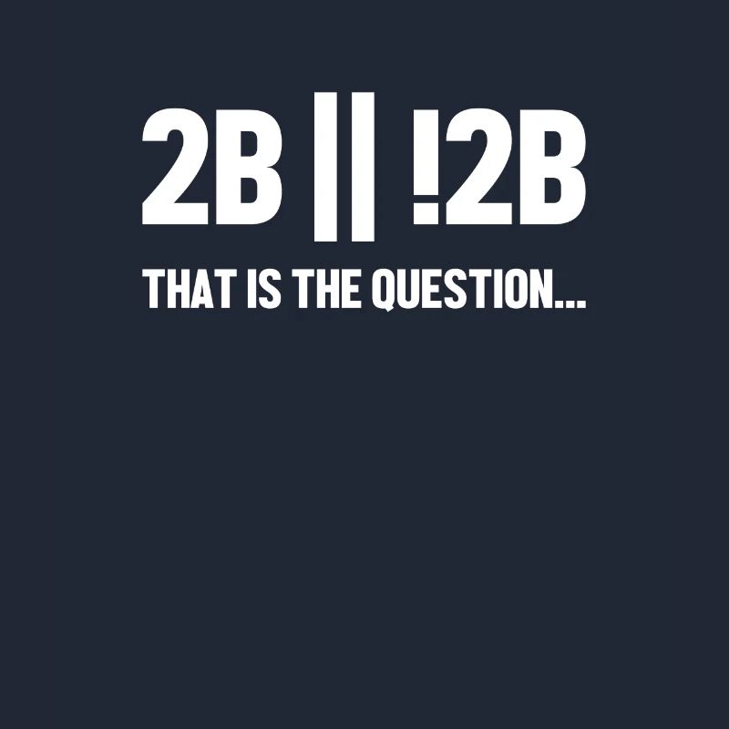 2B or not 2B Question Softwareingenieur Coder