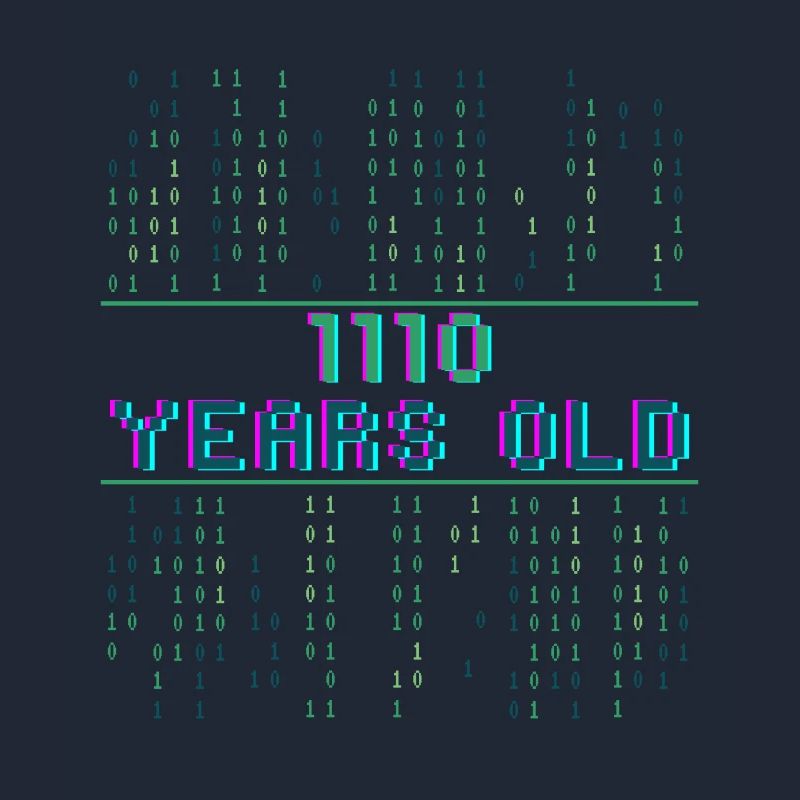 14th Birthday 14 Years Old Binary Code Coder