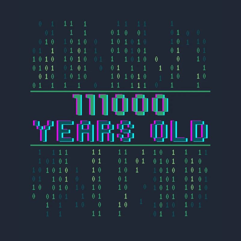 56th Birthday 56 years old Binary Code Computer Science