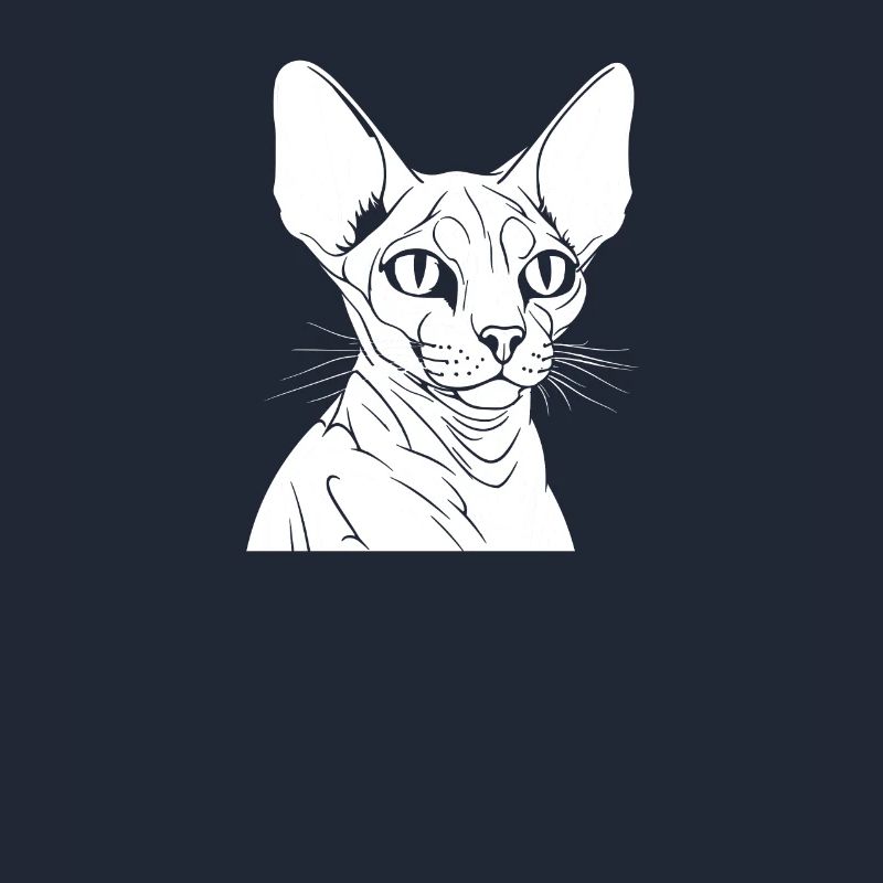 Chat Sphynx