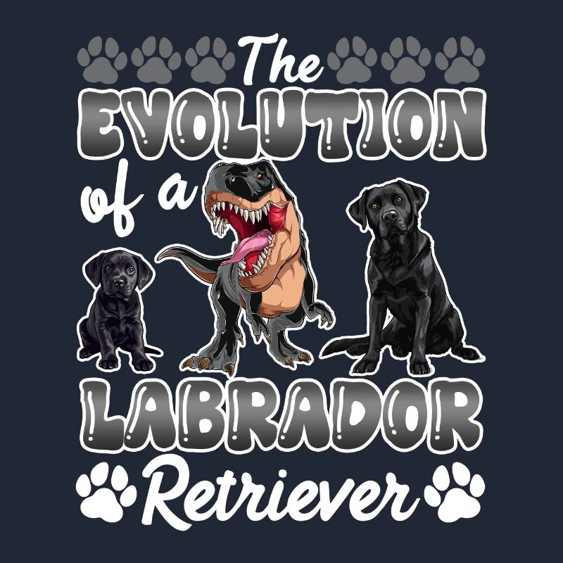 Hundebesitzer DIE EVOLUTION EINES LABRADOR