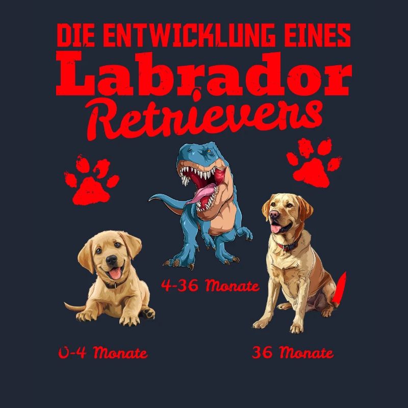 Hundebesitzer DIE EVOLUTION EINES LABRADOR