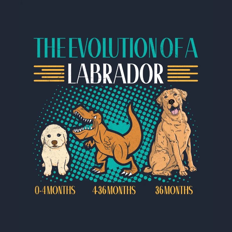 EVOLUTION D’UN PROPRIÉTAIRE DE LABRADOR RETRIEVER