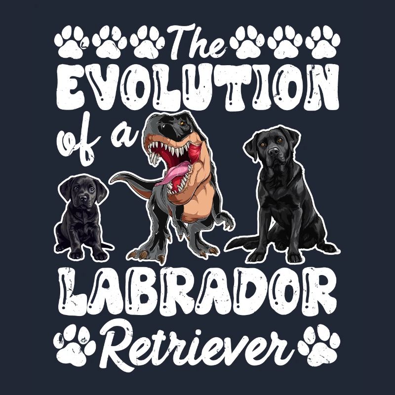 Hundebesitzer DIE EVOLUTION EINES LABRADOR