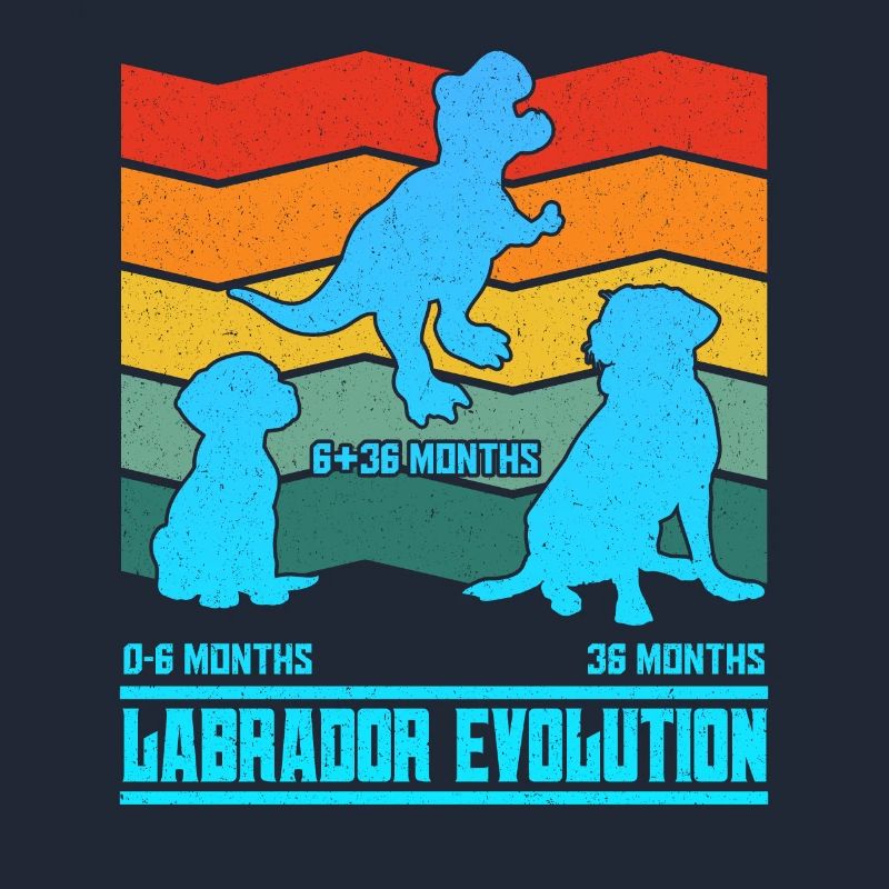 Labrador Owner LABRADOR EVOLUTION Funny