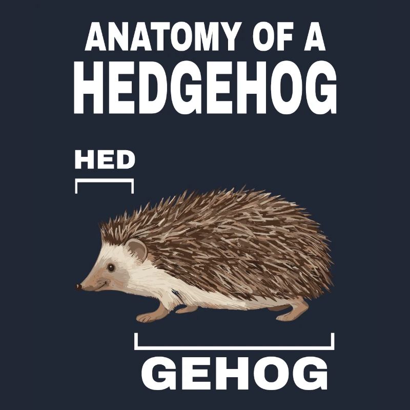 Anatomie eines Igels HED GEHOG Igel mit süßem