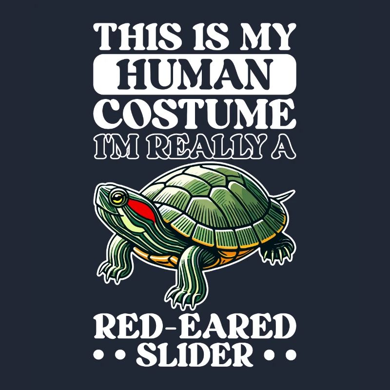 Turtle Red-eared Turtle