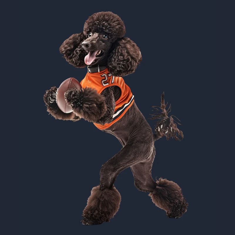 Caniche