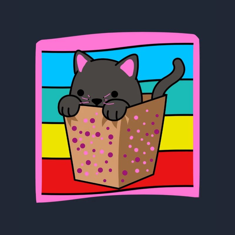 Chat dans une boîte