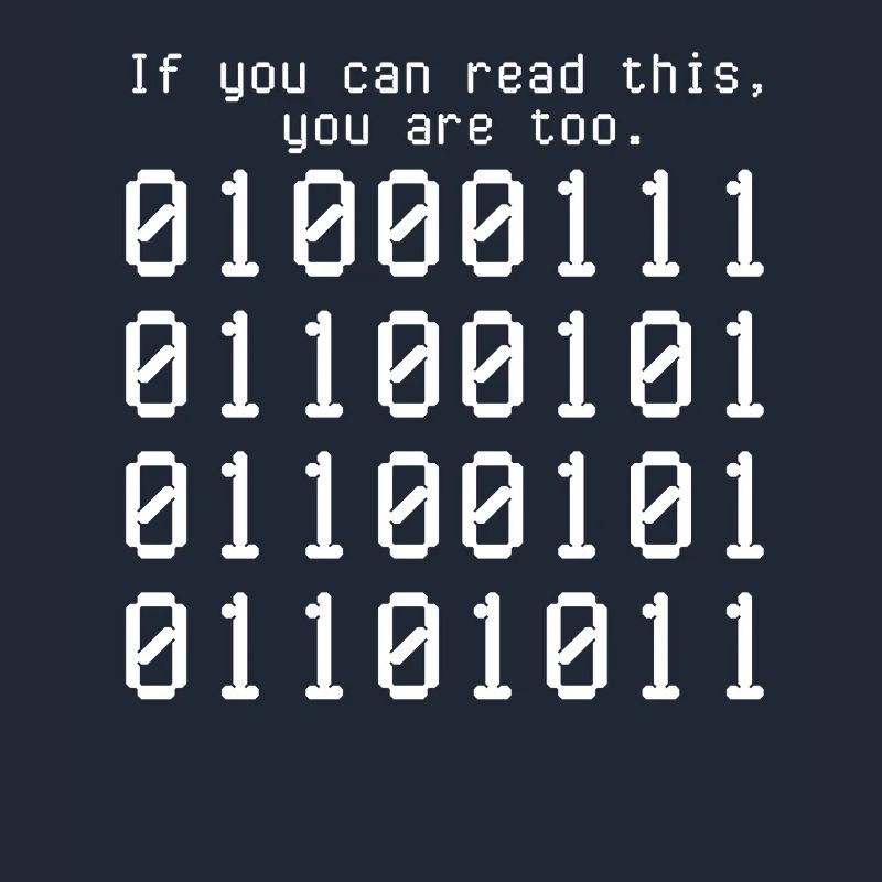 Programmer Computer Coding Software Developer