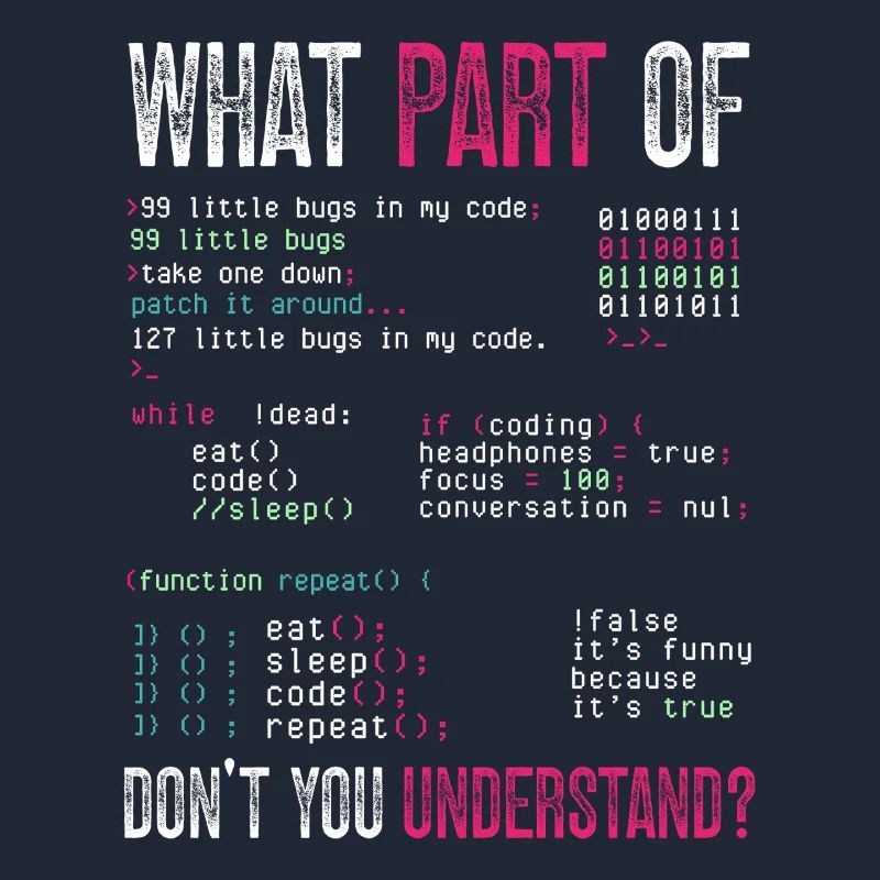 Programmer Computer Coding Software Developer