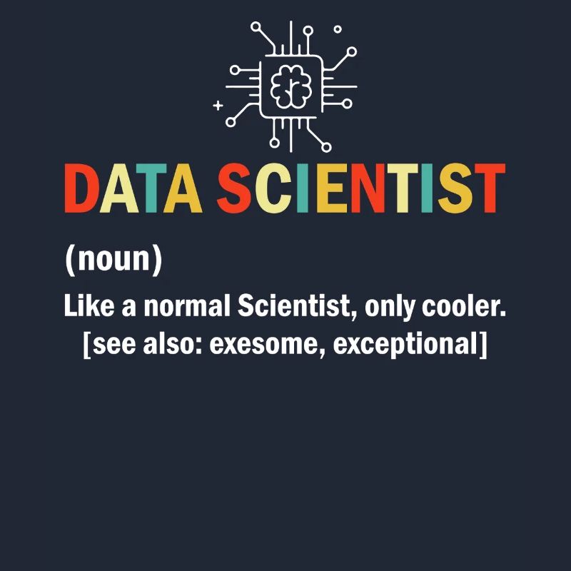 Data Scientist Funny Definition Spreadsheet Data