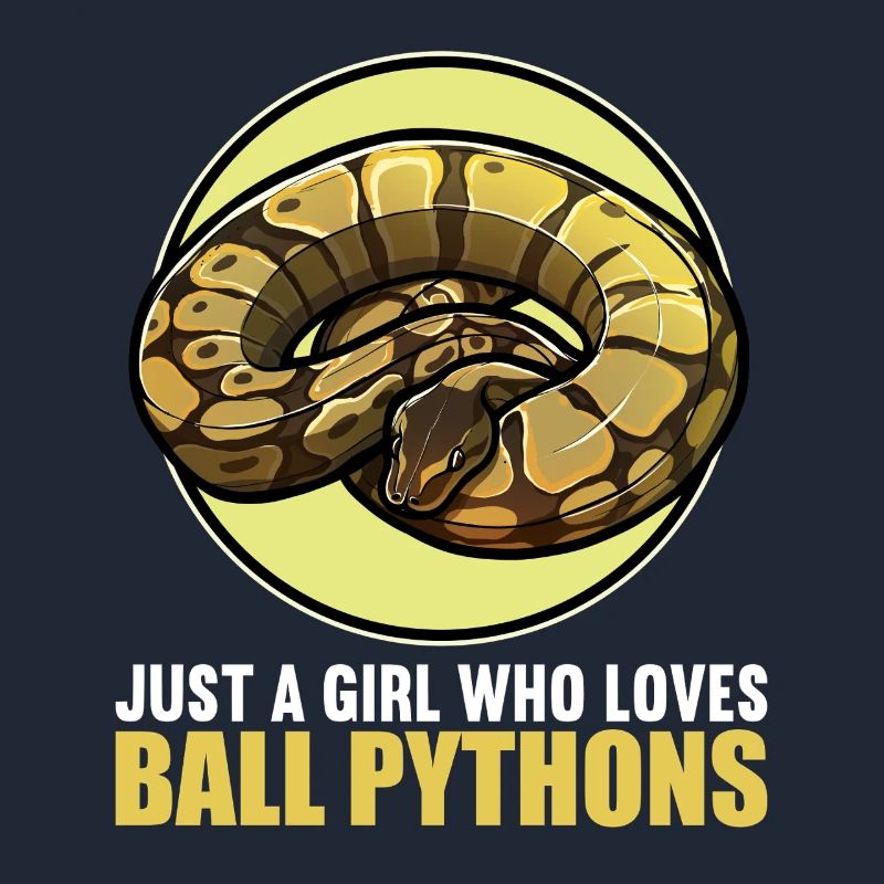 Ball Python Königspythons Königspython