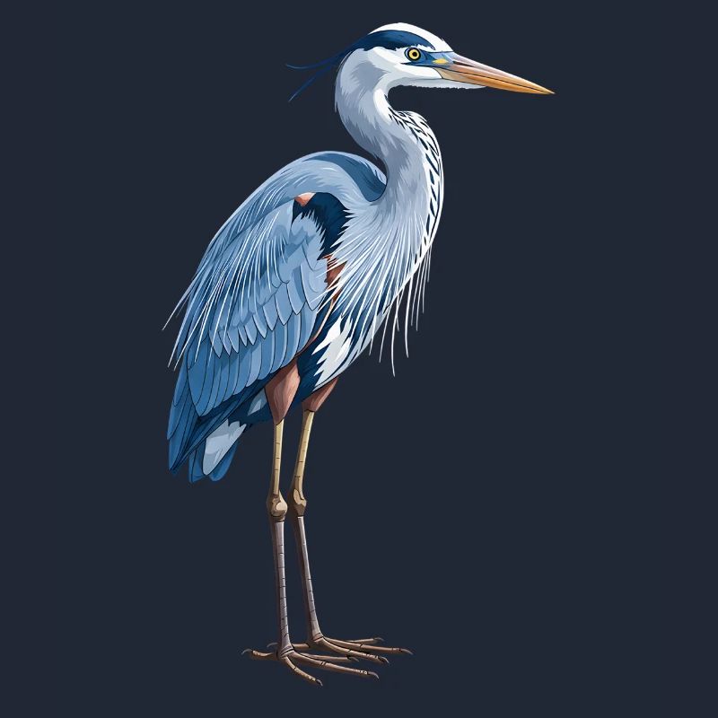 Héron bleu élégant