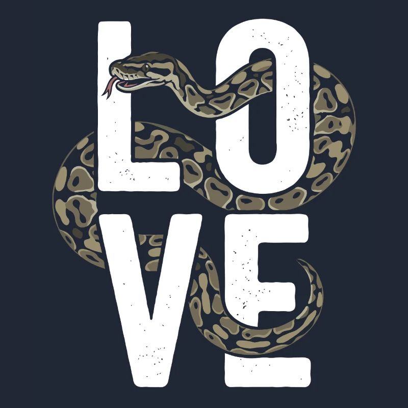 Königspython Schlangen LOVE Terrarium Python