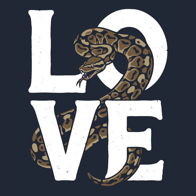 Königspython Schlangen LOVE Terrarium Python