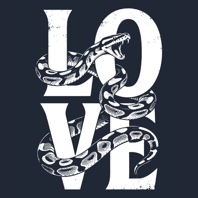 Königspython Schlangen LOVE Terrarium Python