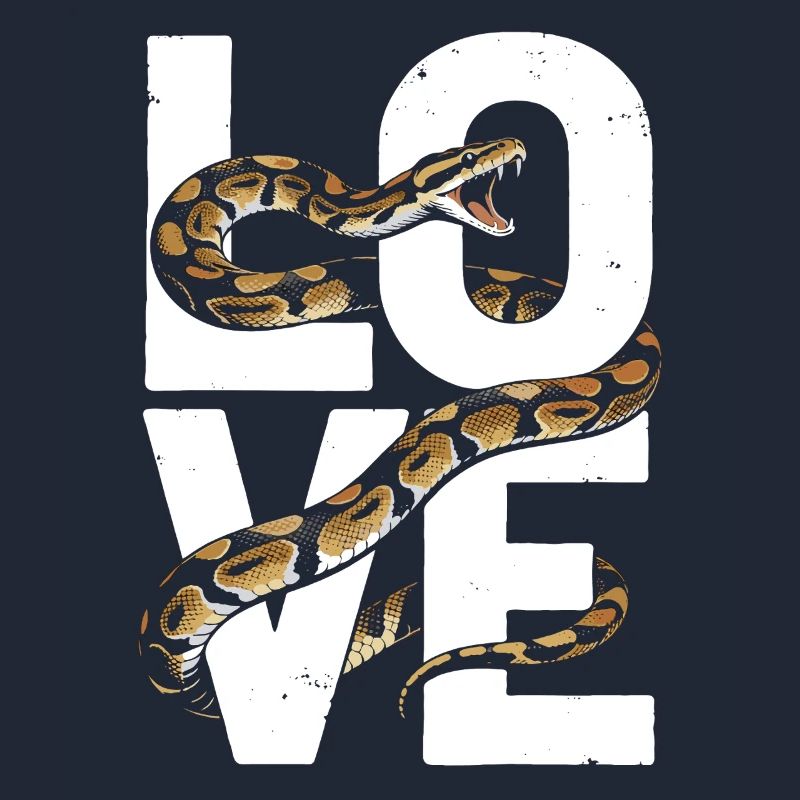 Königspython Schlangen LOVE Terrarium Python