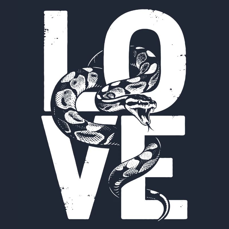 Königspython Schlangen LOVE Terrarium Python