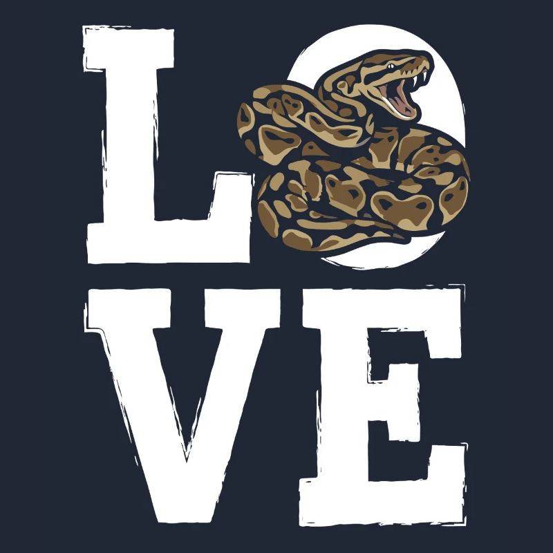 Königspython Schlangen LOVE Terrarium Python