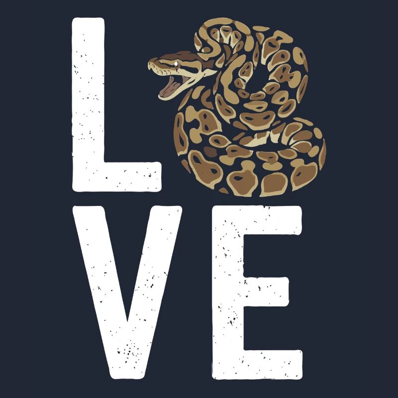 Les serpents rois Python ADORENT les pythons de terrarium