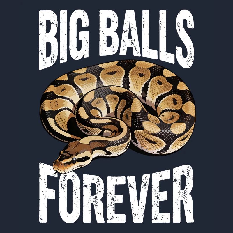 King Python Snakes Lover Terrarium Python