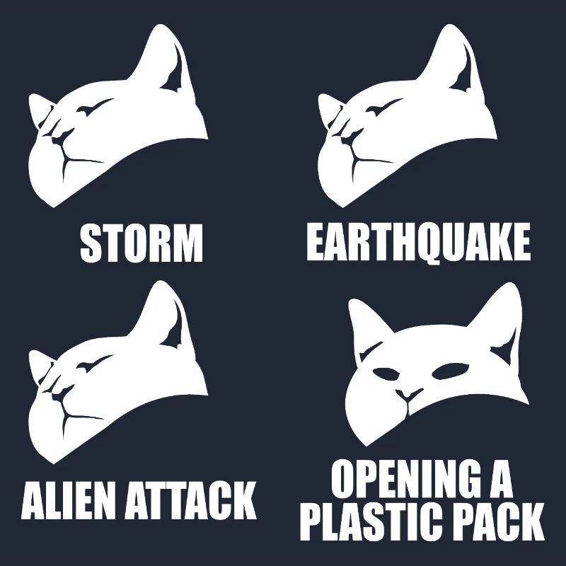 Cat - selective perception - saying