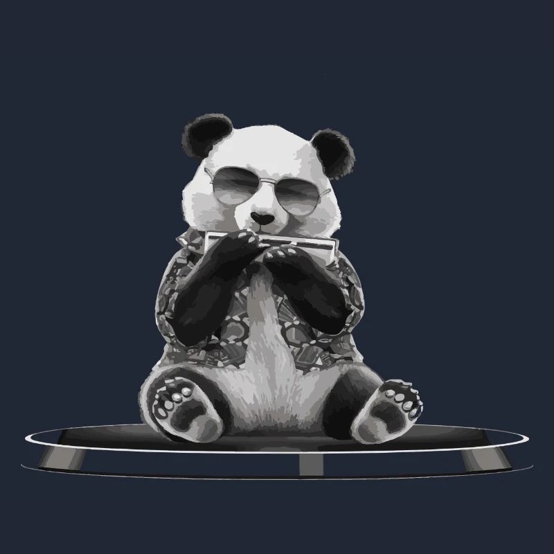 Cadeau de jeu d’harmonica Panda