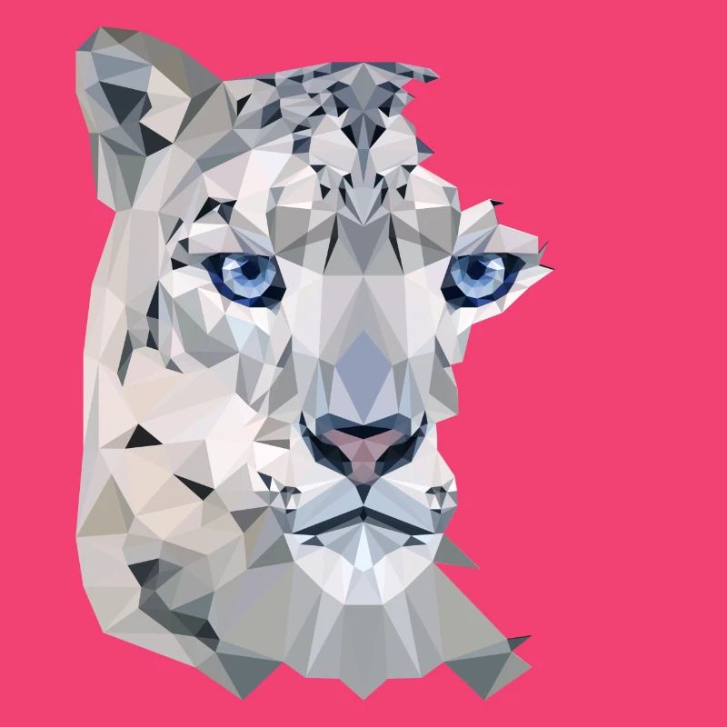Snow Leopard Split