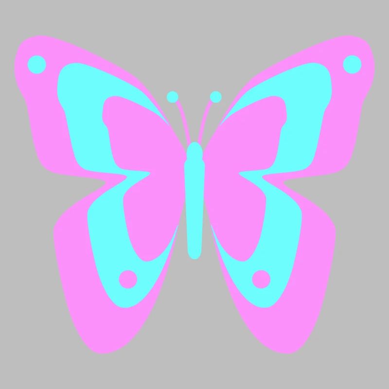 Butterfly Butterfly Insects Spring Summer colorful