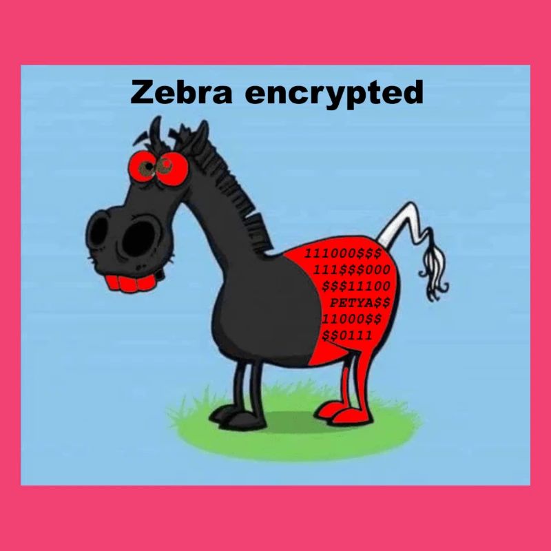 Zebra encrypted
