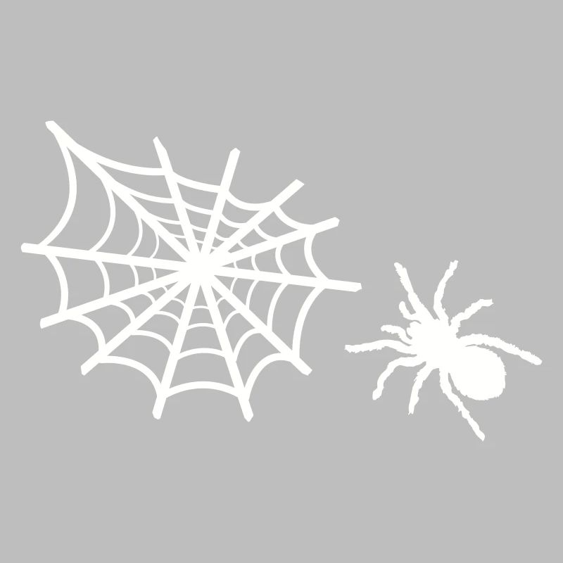 spider spider web