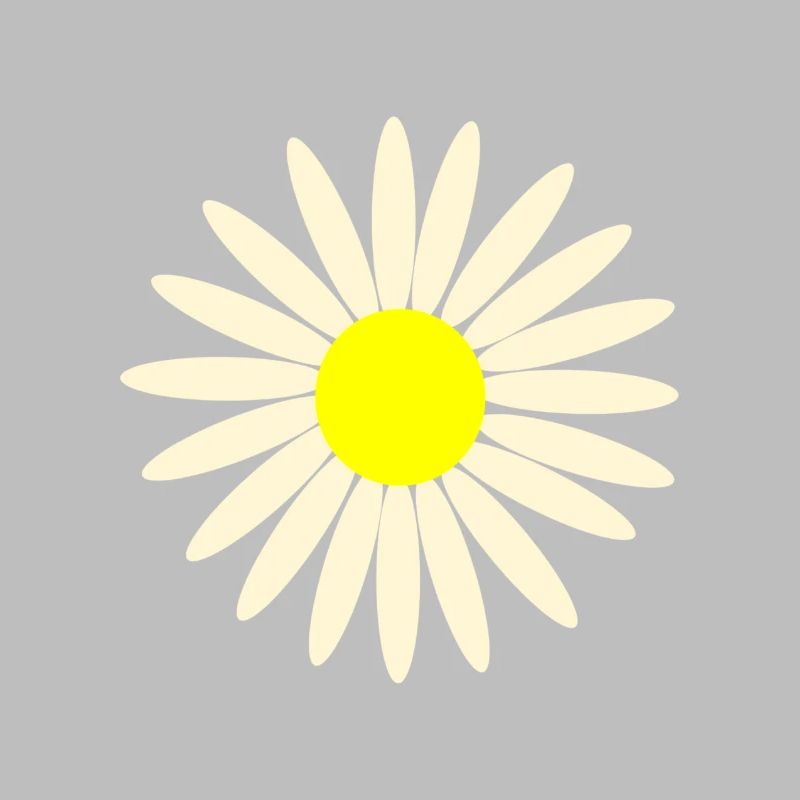 gaensebluemchen