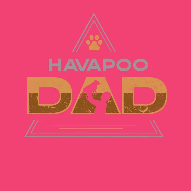 havapoo, havapoo yorkiepoo, havapoo ciel,