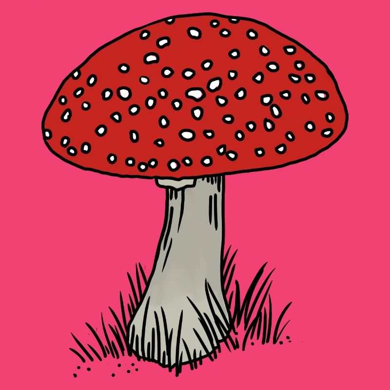 Toadstool colored