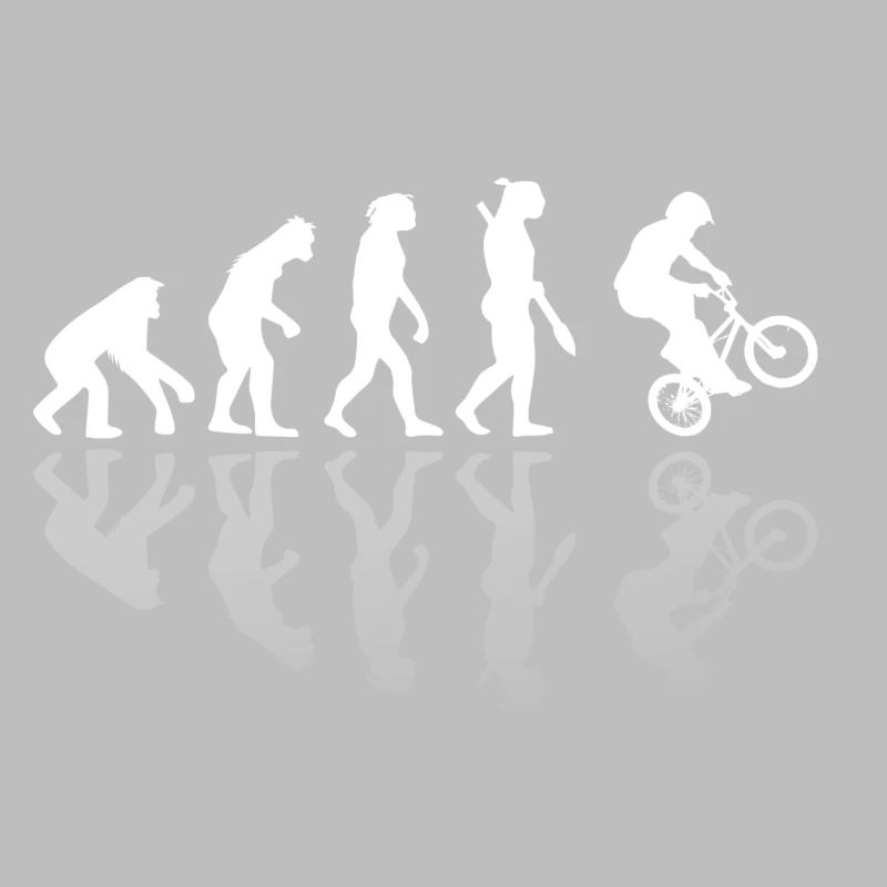 BMX Evolution Mirror Gift