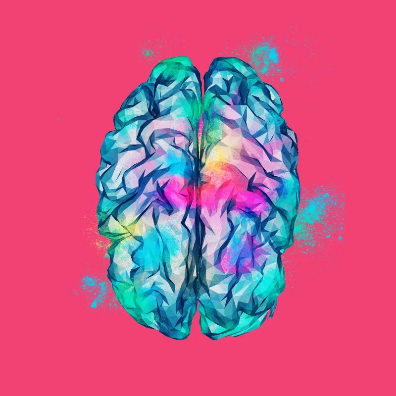 Brain Low Poly Colorful