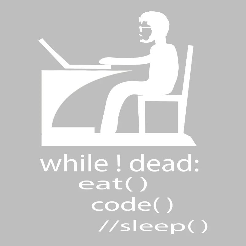 Softwareentwickler Programmierer Geschenk