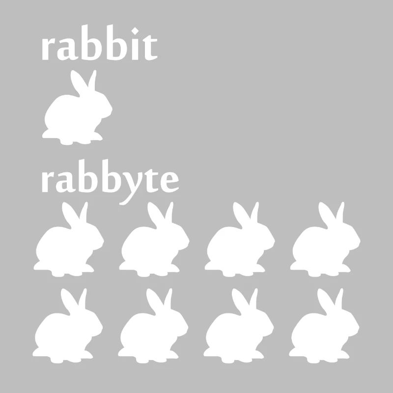 Programmer computer scientist byte rabbit gift