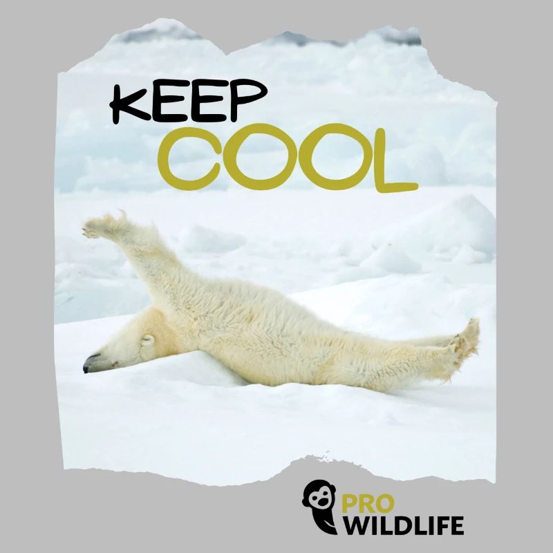 KEEP COOL Eisbär