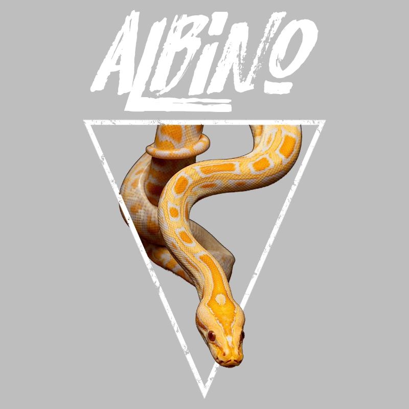 Propriétaire de serpent Python birman