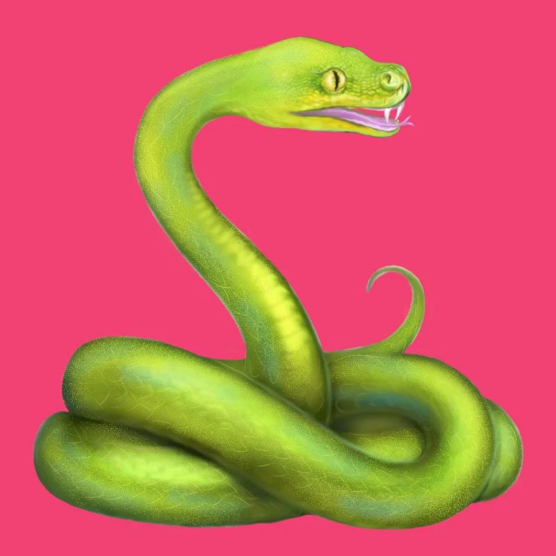 L’animal de la jungle du serpent python vert