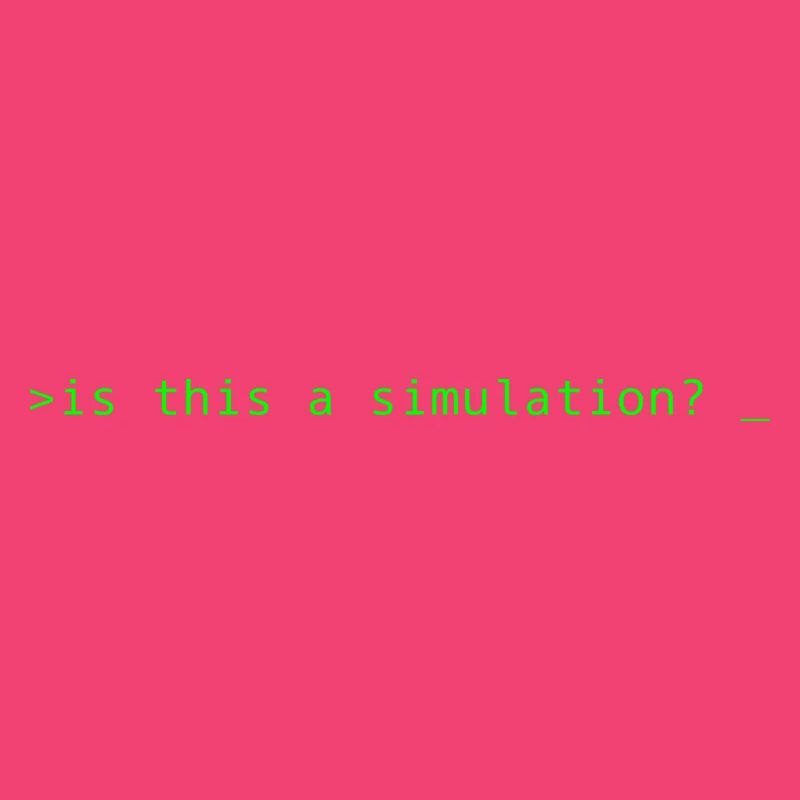 Simulation Programming Informatic Gift Saying